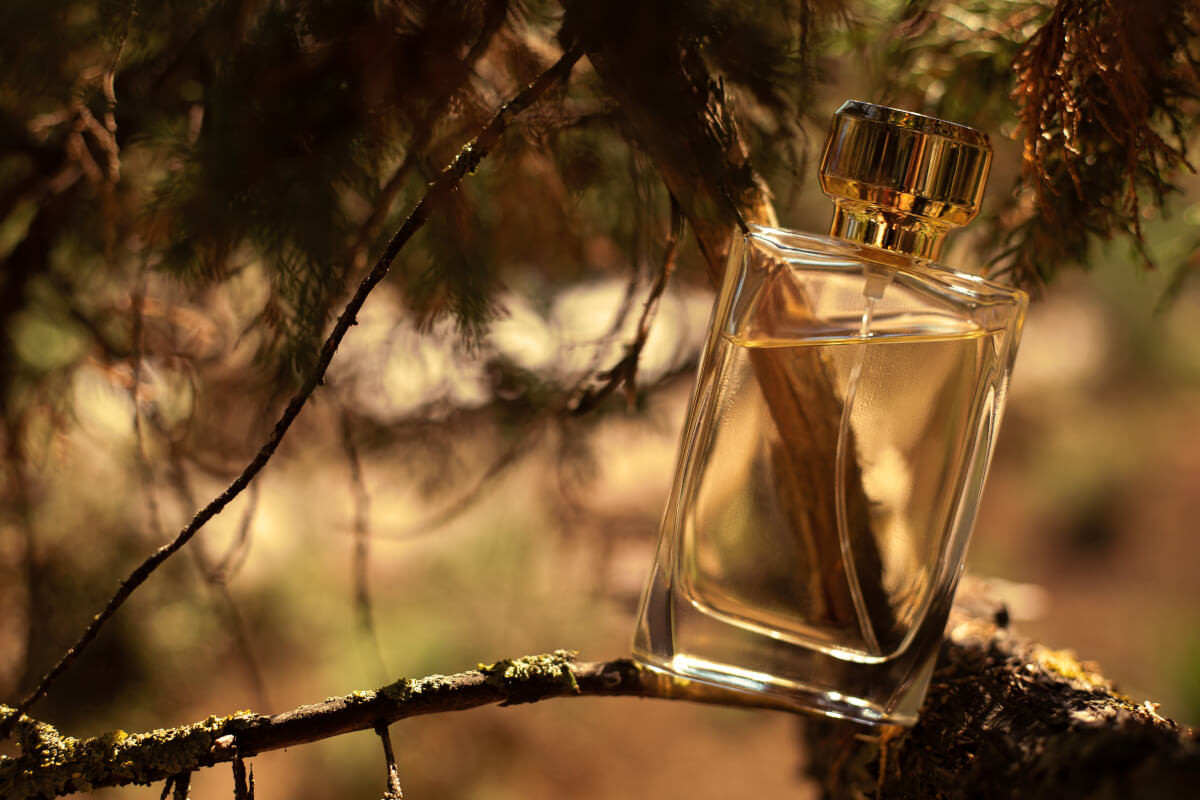 Perfumy drzewo sandałowe - dlaczego są tak lubiane? Fabryka Zapachu